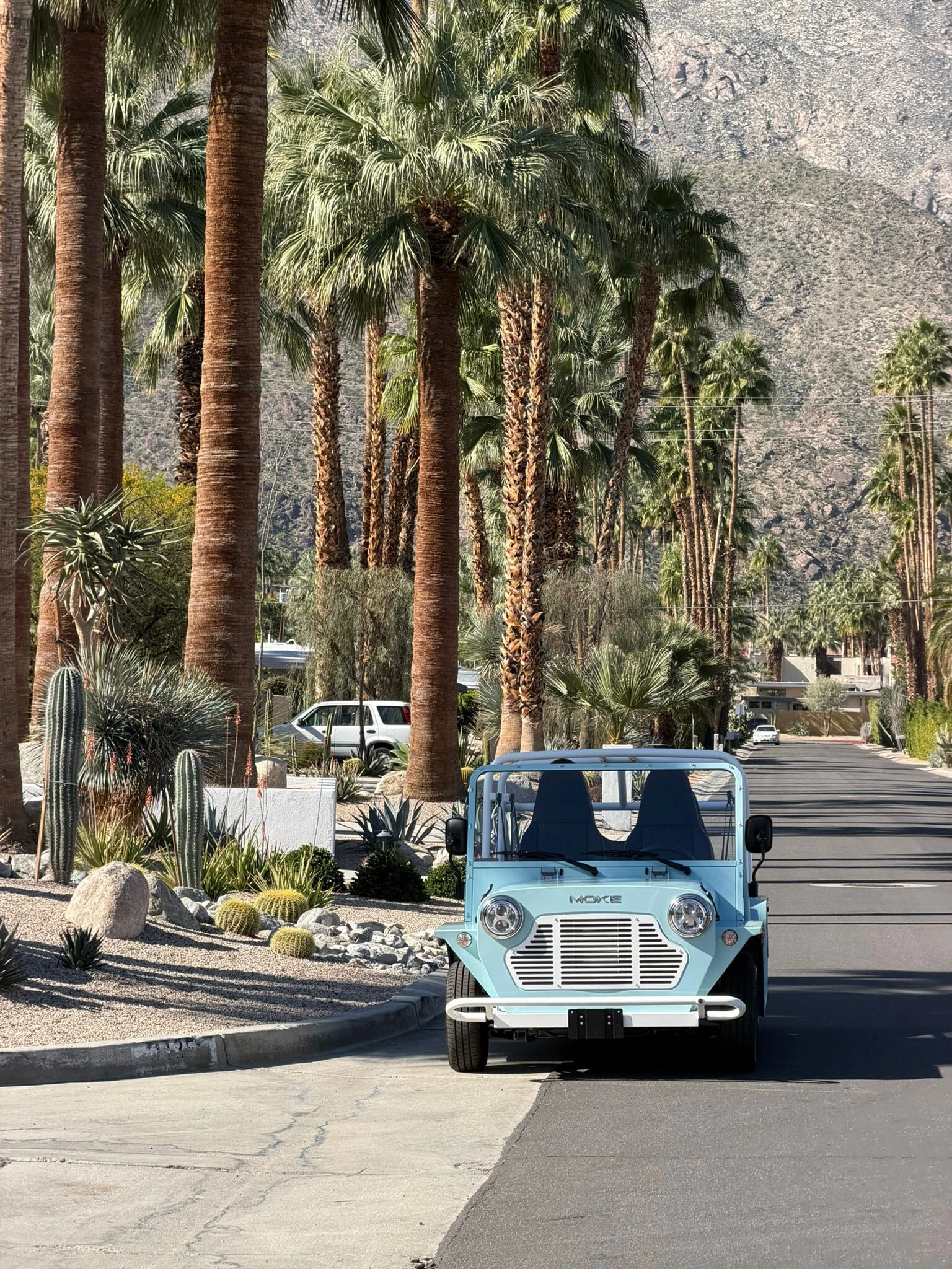 Moke driving a quiet palm-lined avenue